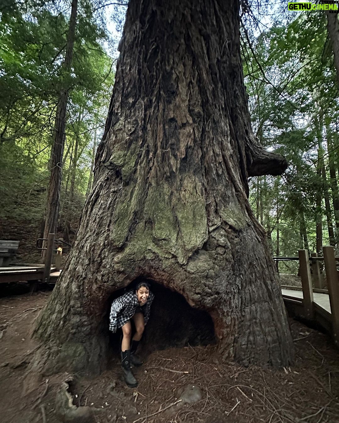 Liza Koshy Instagram - Shout out to God for assigning me to this beyond decent family. Big Sur, California