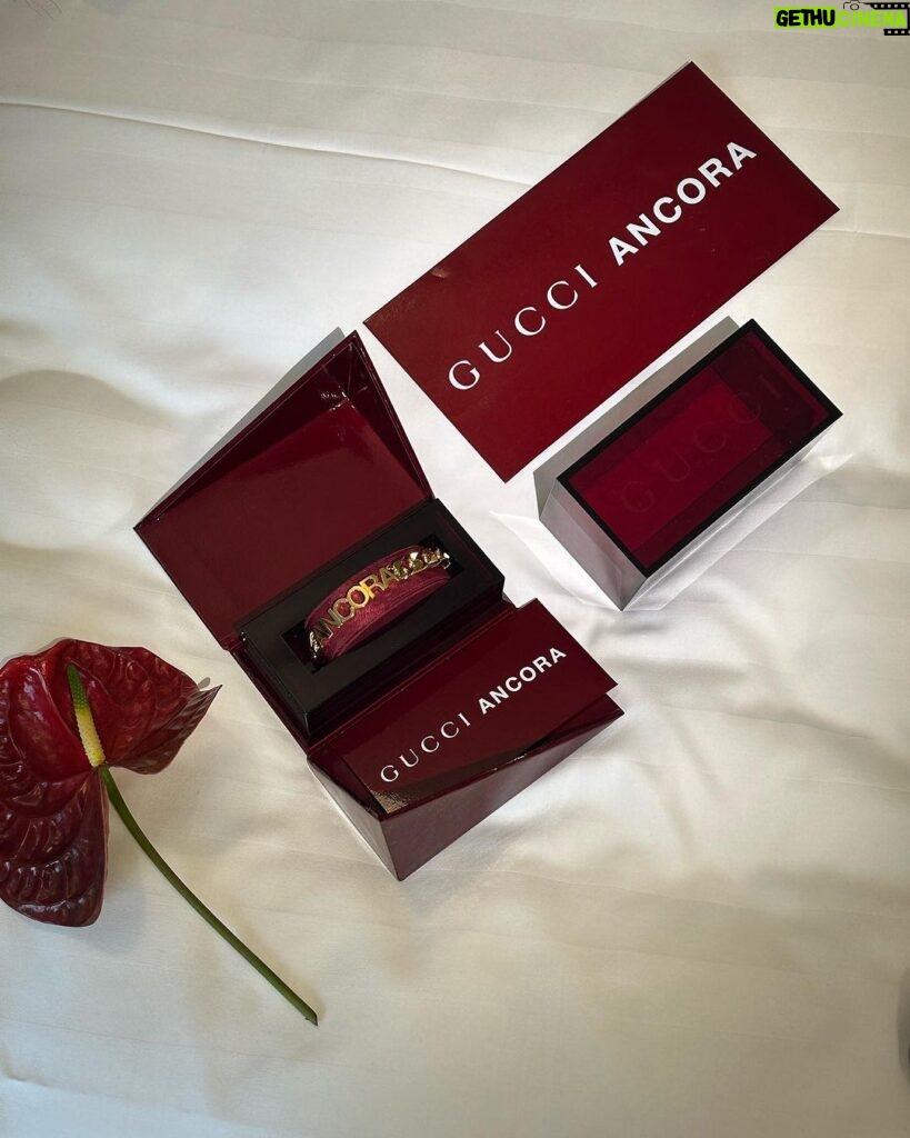 Liza Soberano Instagram - Welcoming this new @gucci era with opens arms!!! Love the collection already @sabatods 🍷 #GucciAncora #GucciSS24 Milan, Italy