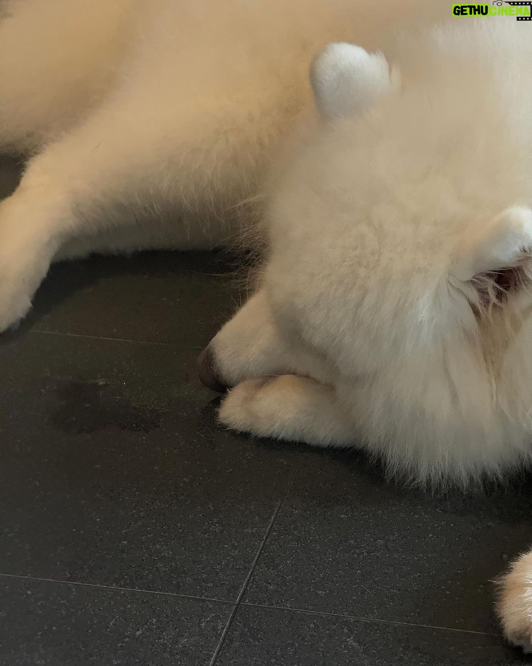 Liza Soberano Instagram - Iām dreaming of a white Christmas āļøš»āāļøš¤ voco Orchard Singapore, an IHG Hotel