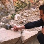 Loïc Fiorelli Instagram - New friend from #GrandCanyon 😍 Grand Canyon National Park