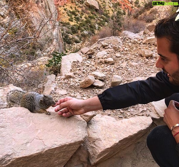 Loïc Fiorelli Instagram - New friend from #GrandCanyon 😍 Grand Canyon National Park