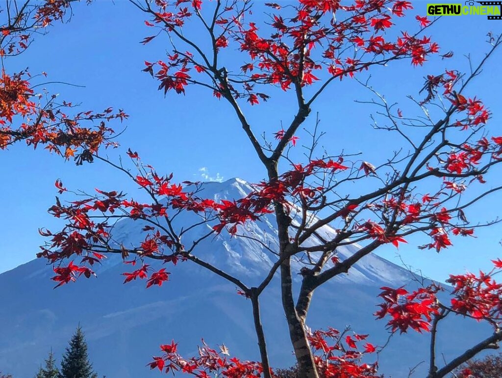 Loïc Fiorelli Instagram - Mont Fuji 🗻🇯🇵 富士山 Tellement content d’avoir eu la chance de le voir avec un temps si parfait ☀ #日本 #montfuji #富士山 #japan #travel Kawaguchiko, Fuji, Japan