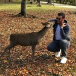 Loïc Fiorelli Instagram - Se balader dans la ville de Nara 🇯🇵🦌 #japan #nara #日本 #幸せ #travel 奈良公園 -Nara Park
