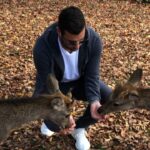 Loïc Fiorelli Instagram - Se balader dans la ville de Nara 🇯🇵🦌 #japan #nara #日本 #幸せ #travel 奈良公園 -Nara Park