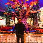 Loïc Fiorelli Instagram - #Bellagio #LasVegas #strip #Nevada #USA 🇺🇸🎰 Bellagio Las Vegas