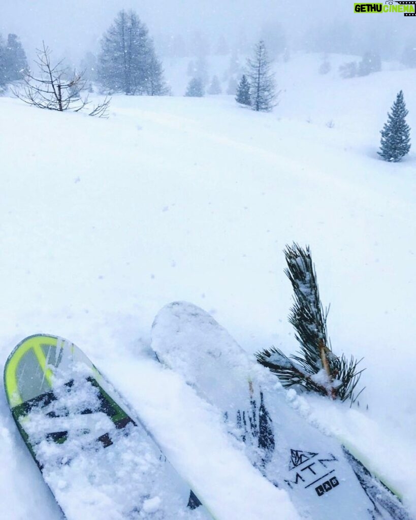 Loïc Fiorelli Instagram - Rien dans la vie ne pourra me rendre plus heureux qu'une journée de neige comme aujourd'hui ❄ #ski #Salomon #vars #esf #frenchalps #snow #bonheur Vars La Forêt Blanche