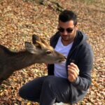 Loïc Fiorelli Instagram - Se balader dans la ville de Nara 🇯🇵🦌 #japan #nara #日本 #幸せ #travel 奈良公園 -Nara Park