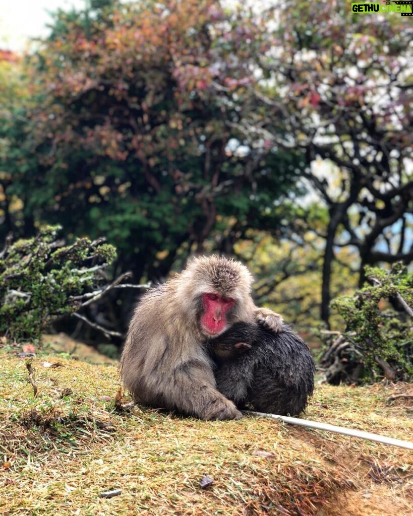 Loïc Fiorelli Instagram - Mère et fils ❤️ 母と息子 #日本 #family #家族 #travel Kyoto, Japan