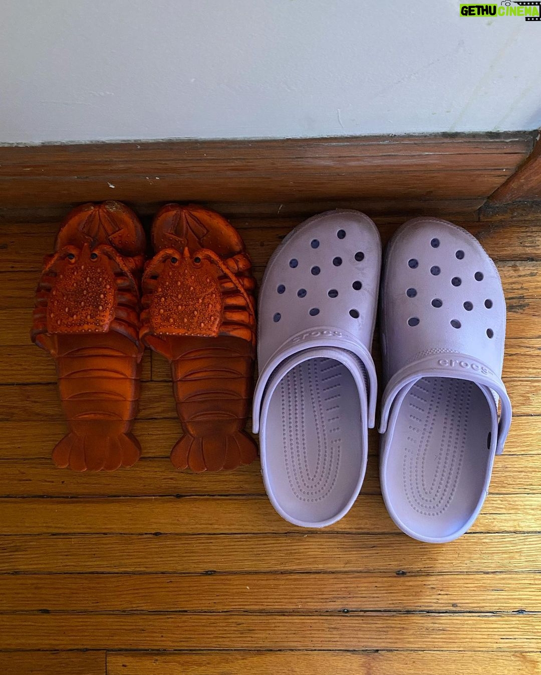 Lola Blanc Instagram - Proof that I still exist in 2023 and that the footwear in my household with @jack_bedrosian reigns supreme