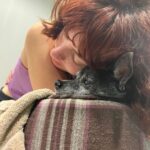 Lola Blanc Instagram - My best friend @rambosgettingold finally got too old. The dreaded day finally came, and Rambo crossed the Rambo bridge on Tuesday. My Ram, my ham, my tiny man, was nearly 16; he was in pain and it was time. The silliest boy got me through my 20s, four breakups, and a pandemic, and I’ll always be grateful to him for that. I’m gonna miss his morning wiggles, my favorite part of the day. I’ll cherish stumbling on him buried in piles of clothes in my messy closet every day, feeling him climb up behind me to be my neck pillow while I worked, and how annoyed he’d get when I’d force him to snuggle. (I got one last annoying snuggle in, pictured here.) And I’ll never understand how a dog could be prideful about letting us help him on the bed, but that was Ram. Spry until the end. @timothy_lee_ found this video he made when he was a puppy, in slide 2, and it’s perfectly Rambo. Highly recommend. He was a calming travel companion, a talented model, and an expert hair stylist, and even in his old age, even this week, people would comment on how young he seemed. He was the funniest, cutest guy and such an integral part of my life. The place feels a lot emptier without you, baby boy. Thanks for waiting until I could handle it. I’ll love you forever.