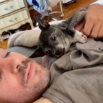 Lola Blanc Instagram - My best friend @rambosgettingold finally got too old. The dreaded day finally came, and Rambo crossed the Rambo bridge on Tuesday. My Ram, my ham, my tiny man, was nearly 16; he was in pain and it was time. The silliest boy got me through my 20s, four breakups, and a pandemic, and I’ll always be grateful to him for that. I’m gonna miss his morning wiggles, my favorite part of the day. I’ll cherish stumbling on him buried in piles of clothes in my messy closet every day, feeling him climb up behind me to be my neck pillow while I worked, and how annoyed he’d get when I’d force him to snuggle. (I got one last annoying snuggle in, pictured here.) And I’ll never understand how a dog could be prideful about letting us help him on the bed, but that was Ram. Spry until the end. @timothy_lee_ found this video he made when he was a puppy, in slide 2, and it’s perfectly Rambo. Highly recommend. He was a calming travel companion, a talented model, and an expert hair stylist, and even in his old age, even this week, people would comment on how young he seemed. He was the funniest, cutest guy and such an integral part of my life. The place feels a lot emptier without you, baby boy. Thanks for waiting until I could handle it. I’ll love you forever.