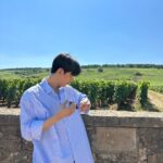 Lomon Instagram - 로마네 꽁띠 in 부르고뉴 🇫🇷🍇🍷 Romanée-Conti, Vosne Romanée