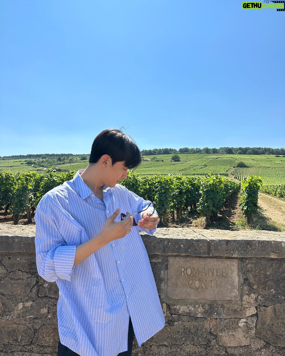Lomon Instagram - 로마네 꽁띠 in 부르고뉴 🇫🇷🍇🍷 Romanée-Conti, Vosne Romanée