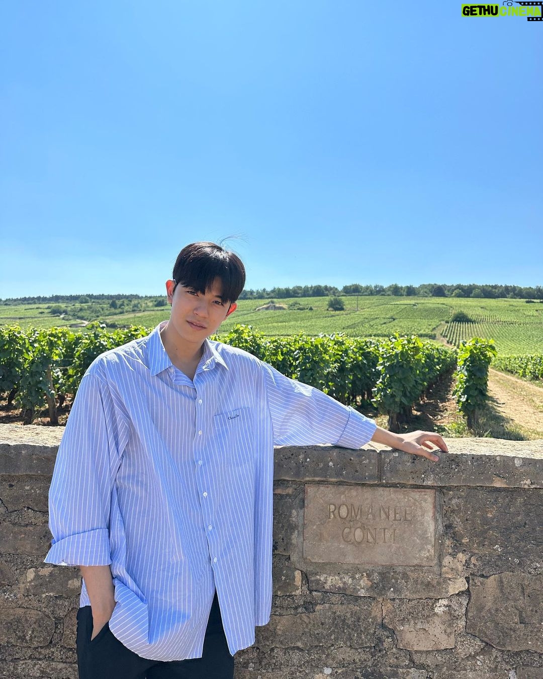 Lomon Instagram - 로마네 꽁띠 in 부르고뉴 🇫🇷🍇🍷 Romanée-Conti, Vosne Romanée