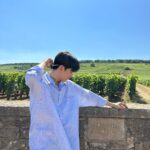 Lomon Instagram - 로마네 꽁띠 in 부르고뉴 🇫🇷🍇🍷 Romanée-Conti, Vosne Romanée
