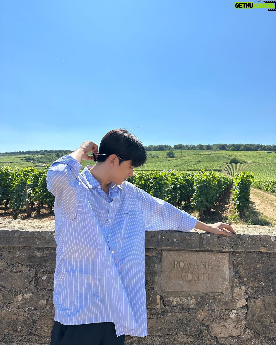 Lomon Instagram - 로마네 꽁띠 in 부르고뉴 🇫🇷🍇🍷 Romanée-Conti, Vosne Romanée