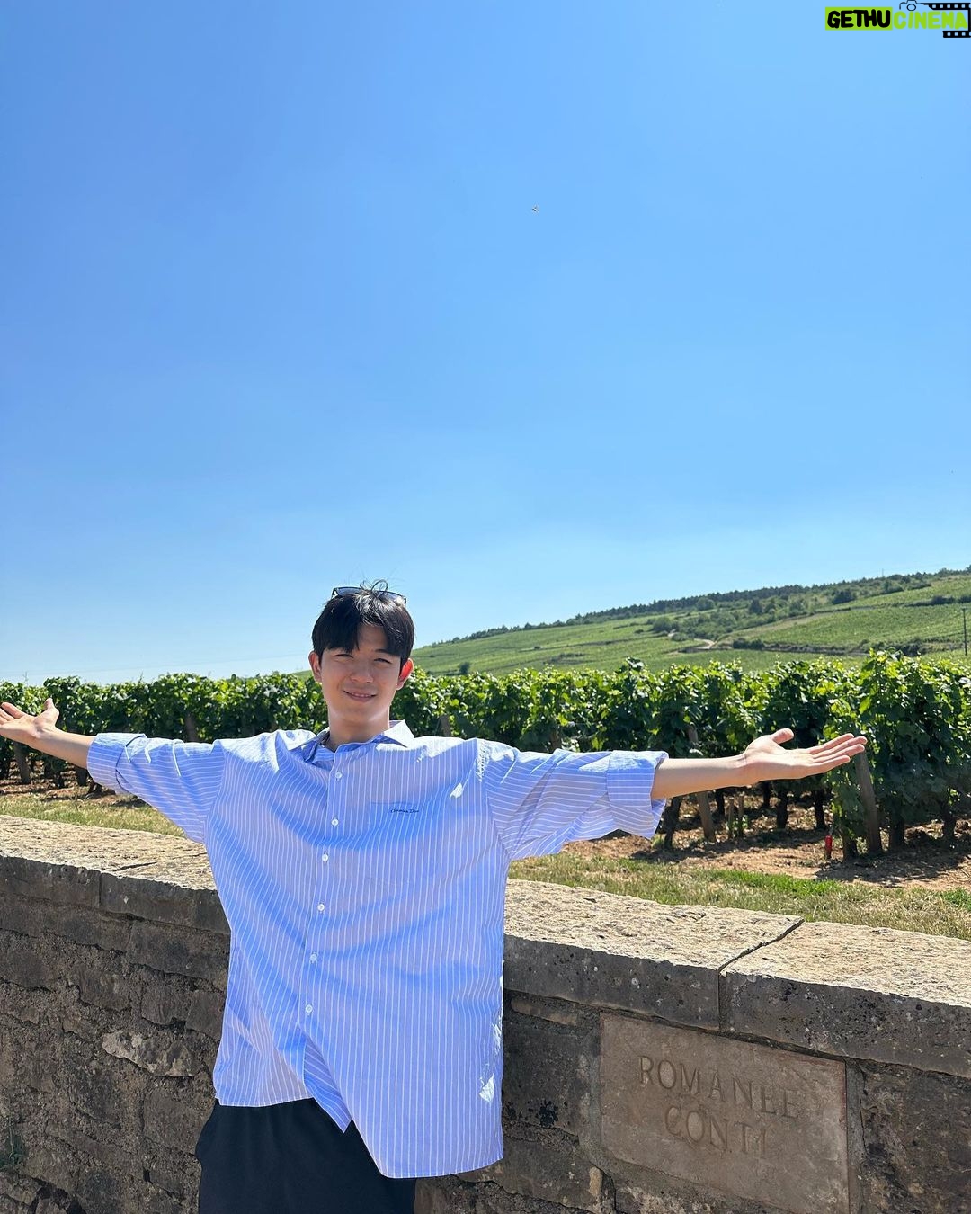 Lomon Instagram - 로마네 꽁띠 in 부르고뉴 🇫🇷🍇🍷 Romanée-Conti, Vosne Romanée