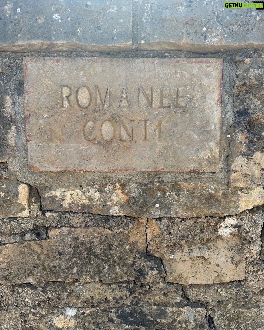Lomon Instagram - 로마네 꽁띠 in 부르고뉴 🇫🇷🍇🍷 Romanée-Conti, Vosne Romanée