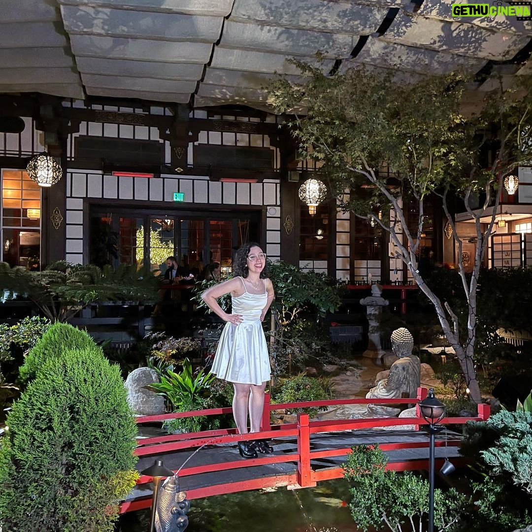 Lori Mae Hernandez Instagram - Had a wonderful evening hanging out with friends and celebrating the wonderful work of @dogyoyoglobal !!!! Such incredible people and so much FUN!! 🤩🐶 Yamashiro Hollywood