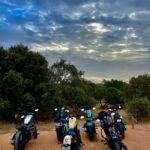 Luís Simões Instagram - "Um dia seremos altos e bonitos, para já somos felizes." P.A. @pedroalves.official ✨🙏🙌🤘😜 @3_ferros #roadtrip #3ferros #motorcycle #motorcycleboy #harleydavidson #hdsportster #sporster883 #goodvibes #portugal