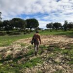 Luís Simões Instagram - Vou só ali escapar-me um bocadinho para regular os níveis. #weekend #getaway #farmvibes #nature #relax #meditation #goodvibes