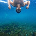 Luís Simões Instagram - See Ya ! 🫧🐟 #madeiraisland #madeiravibes #nofilters #nocuts #sealovers #sealife #goodvibes #ocean Madeira Island