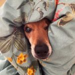 Lucía Martín Abello Instagram – A tirar petardos a Mingorrubio 🎈