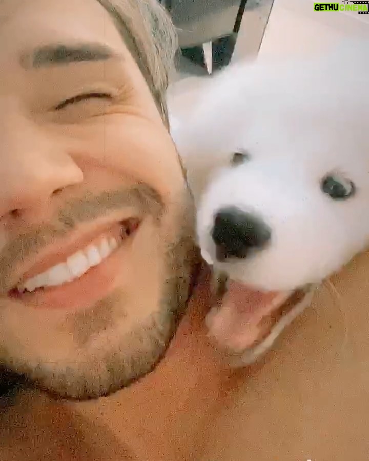 Lucas Viana Instagram - O único contato físico permitido nessa quarentena ❤️🐾 Quem aí também tá em casa curtindo a companhia do seu animalzinho? Bom demaiss 😍 São Paulo, Brazil