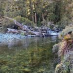 Lucy Fry Instagram - Greenstone to Routeburn NZ with @kierangiffen_ 💕 Routeburn Track