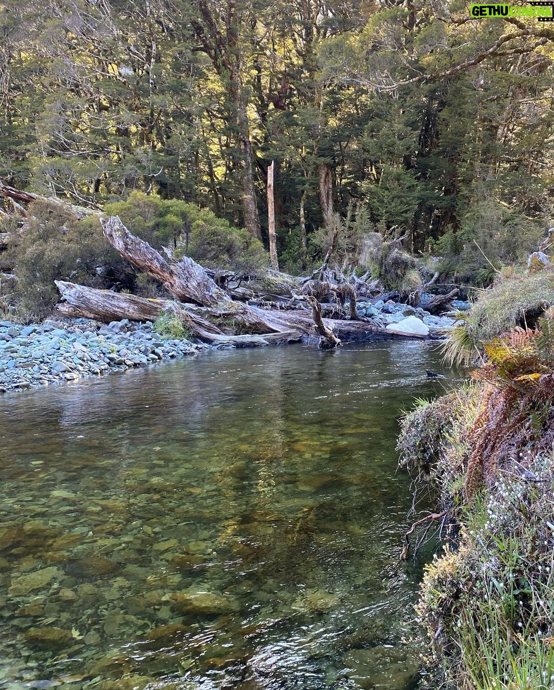 Lucy Fry Instagram - Greenstone to Routeburn NZ with @kierangiffen_ 💕 Routeburn Track