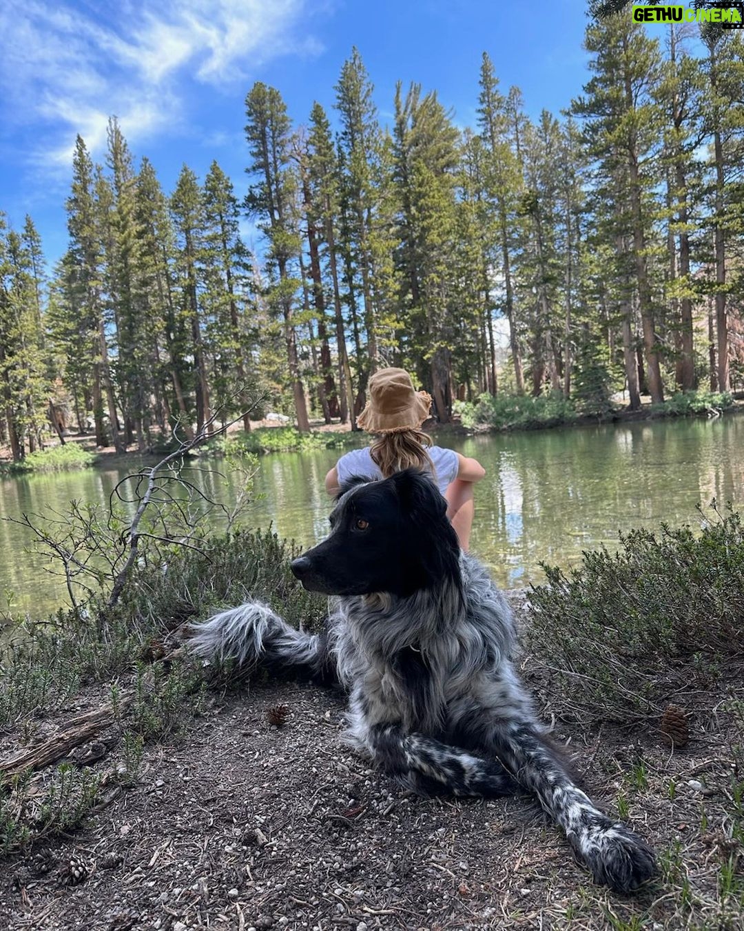 Lucy Fry Instagram - When your best mate watches your back 🐶 And other mountain treats 🏔️