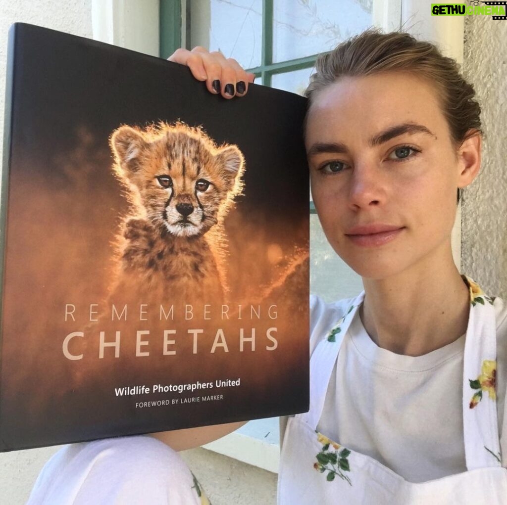 Lucy Fry Instagram - This beautiful book shares glimpses of cheetahs in their most private moments. Raising funds to protect wild cheetahs, the images break the barriers between human and animal empathy, showing family connection, and the drive for survival. More information about the book and the conservation projects linked with it are here - @rememberingwildlife