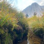 Lucy Fry Instagram – Mountain gazing, before the fires
