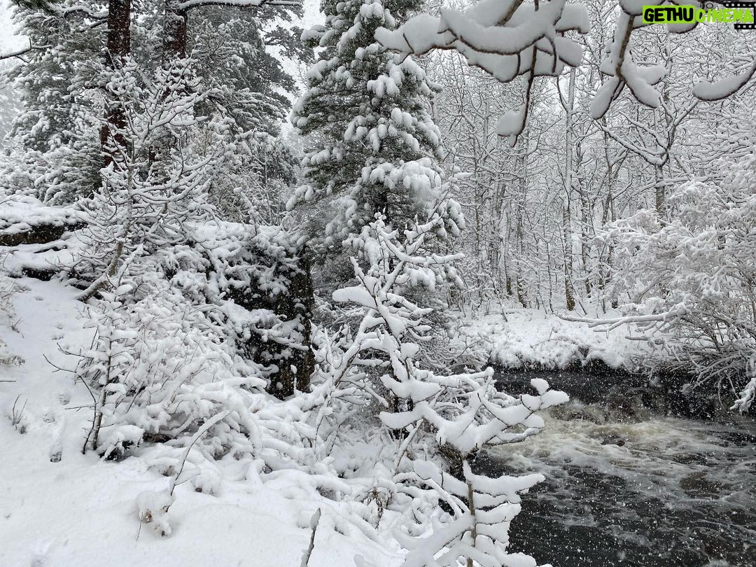 Lucy Fry Instagram - How things can change in a day ❄️ Mammoth Lakes, California
