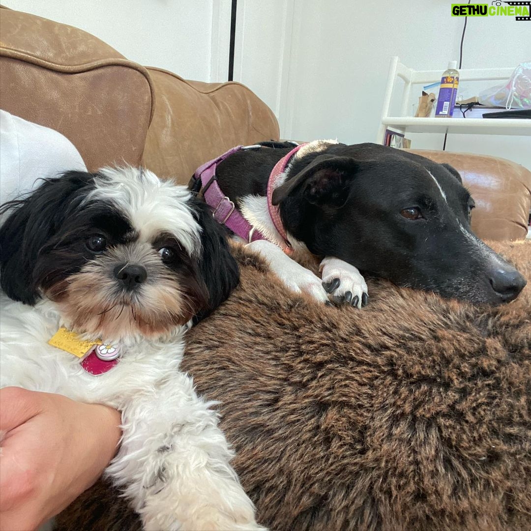 Lucy Fry Instagram - Montauk 🌊 pre surf/post surf, time with the doggos, friends and mama ocean