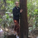 Lucy Fry Instagram - 🌱Regeneration 🌱 I loved walking through this beautiful forest that Martin Brook of @bigscrublandcare restored from bare grassland. The second photo is of native ginger, endemic to the critically endangered lowland subtropical rainforest. The restoration work over the last 30 years has created an ecosystem that supports fungi, insects, birds, animals and humans! Even a platypus has returned to the creek. Martin said ‘Build it and they’ll come!’ Seeing humans restoring the earth her her natural ways brings me so much hope. Thank you @bigscrublandcare