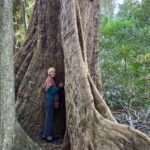 Lucy Fry Instagram - Back in the Big Scrub 💚 A walk through Booyong Nature Reserve with the incredibly skilled rainforest regenerator Darren Bailey brought the quiet connections of this ancient forest into focus. Scents of Sassafras, Red Cedar and Pepperberry surrounded as we gazed up at this Giant Water Gum... which could be around a thousand years old! Booyong trees, small leaved figs, arrowhead vines, rainforest myrtles and hundreds of other plant species support the rainforest dependent birds and insects in the area. We heard whip birds and Wompoo doves, saw fairy wrens, emerald doves and even a sea eagle who’s made a a nest in the canopy above. Less than 1% of this rich biodiverse subtropical rainforest remains... and I am so grateful that @bigscrublandcare is working tirelessly to protect it. 🌱 Bundjalung Country