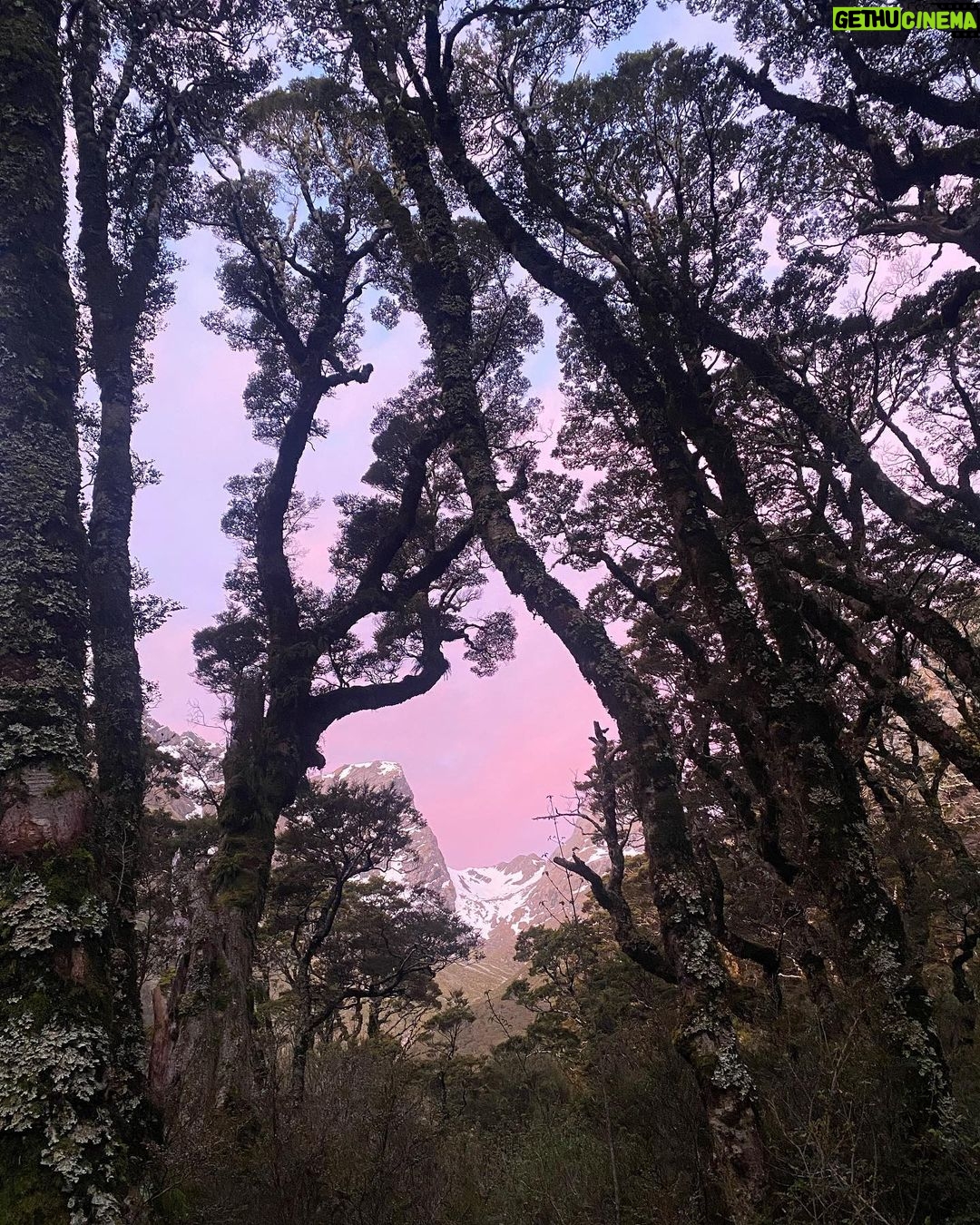 Lucy Fry Instagram - Greenstone to Routeburn NZ with @kierangiffen_ 💕 Routeburn Track
