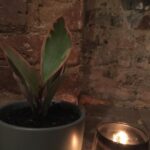 Lucy Fry Instagram - Remember in 2018 when we were saying “Don’t catch feelings!” 2020 burst that phrase open. Even my plants express their feelings now