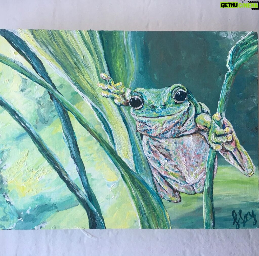Lucy Fry Instagram - Love this documentary @kisstheground for the hope it brings- Please watch it for inspiration! And if you are feeling inspired to achieve Drawdown, the decline of greenhouse gases in our atmosphere, please click the link in my bio and become a voice for the rainforest! I will be sending printed cards of this green tree frog I painted for donations over $50 🐸