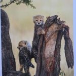 Lucy Fry Instagram – This beautiful book shares glimpses of cheetahs in their most private moments. Raising funds to protect wild cheetahs, the images break the barriers between human and animal empathy, showing family connection, and the drive for survival. More information about the book and the conservation projects linked with it are here – @rememberingwildlife