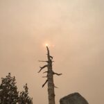 Lucy Fry Instagram – Smoke from the wild fires came over our camp the last morning, and once again, brought climate change into forefront of thought. Inhaling the smoke, there’s no denying it is here. Leaving the camp, we passed Marmots, deers, chipmunks and coyotes. Many of their species already lost on the other side of the range.
To solve the twin crisis of biodiversity loss and climate change @oneearth has come up with a plan- the Global Safety Net. This is an outline of the areas world wide that need to be protected to ensure a stable future for nature, and humanity. Take a look at the website on my page to learn more about the solutions offered by the global safety net 🌎