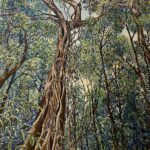 Lucy Fry Instagram - A Mary Oliver Poem 💚 and a painting of a favorite tree in one of the forest remnants @bigscrublandcare protects and restores 🌱