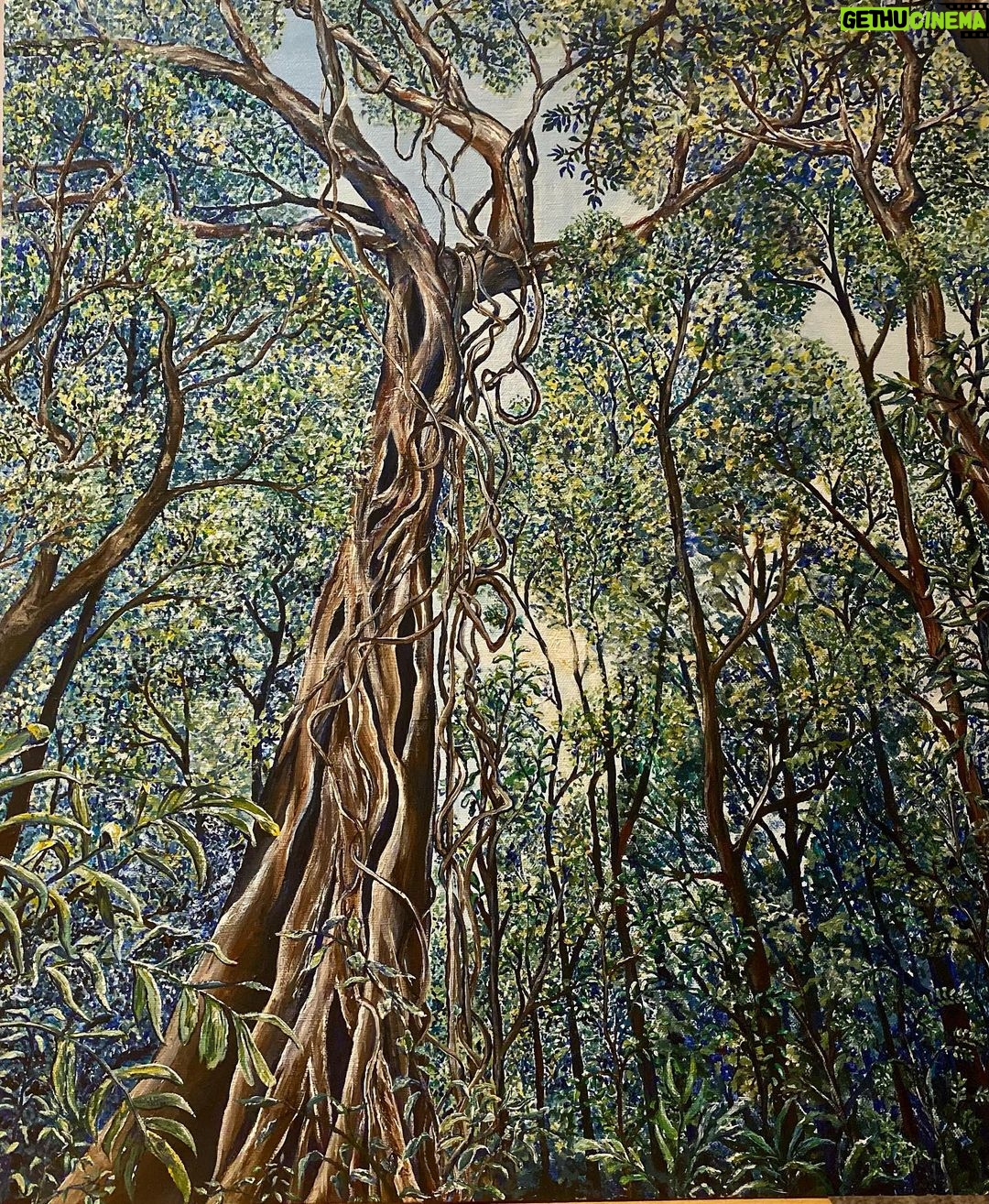 Lucy Fry Instagram - A Mary Oliver Poem 💚 and a painting of a favorite tree in one of the forest remnants @bigscrublandcare protects and restores 🌱