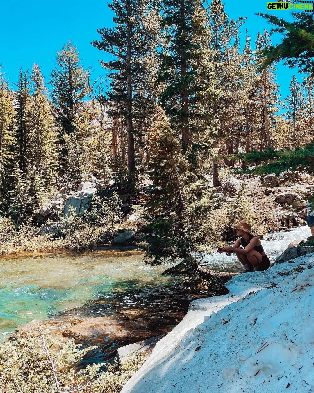 Lucy Fry Instagram - When your best mate watches your back 🐶 And other mountain treats 🏔️