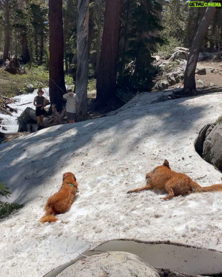 Lucy Fry Instagram - When your best mate watches your back 🐶 And other mountain treats 🏔️