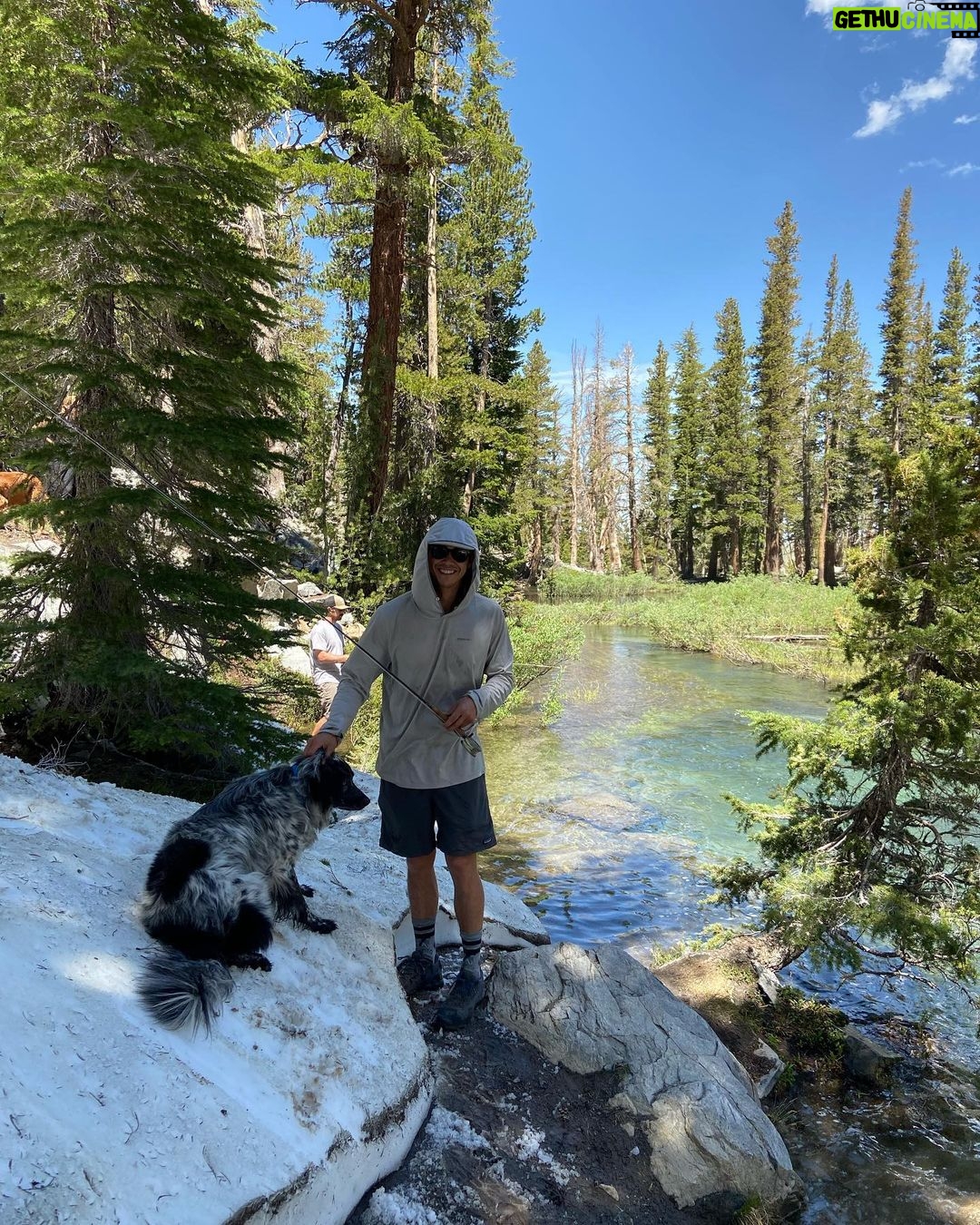 Lucy Fry Instagram - When your best mate watches your back 🐶 And other mountain treats 🏔️