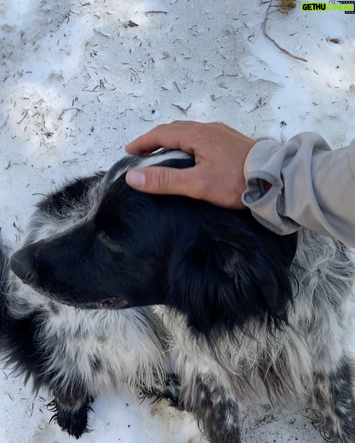 Lucy Fry Instagram - When your best mate watches your back 🐶 And other mountain treats 🏔️