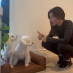 Lucy Hale Instagram – #petsmartpartner I sensed they were up to something when I was out of the house…My little duo is loving their new things from the Nate + Jeremiah Collection for @PetSmart! 

If you’re looking to elevate your fur angel’s home decor, head on over to PetSmart 🐾