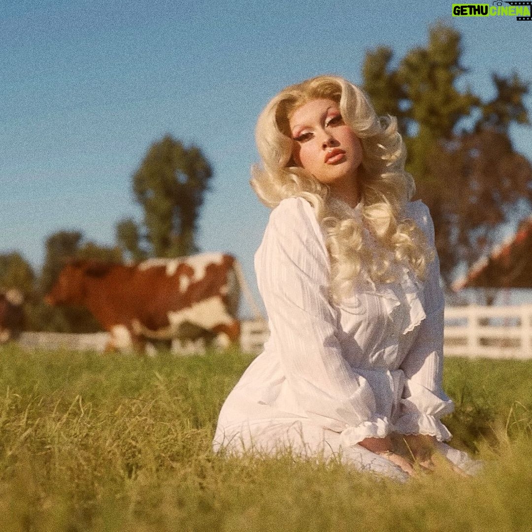 Lucy Loone Instagram - stills from: whole milk ~ out now ⚜️🐄🪵🪺✨